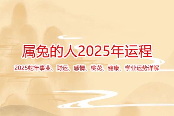 2011年属兔男孩2025年运势及运程_2025属兔大忌颜色 2011年属兔男孩2025年运势及运程_2025属兔大忌颜色