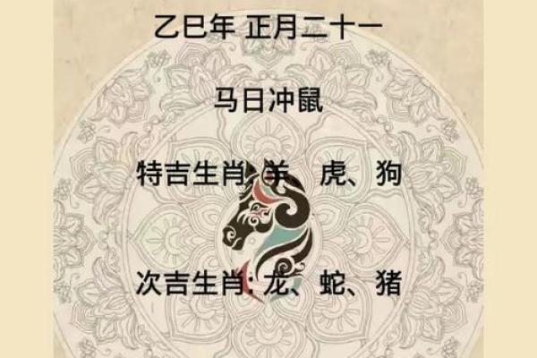 2025年鼠的运势